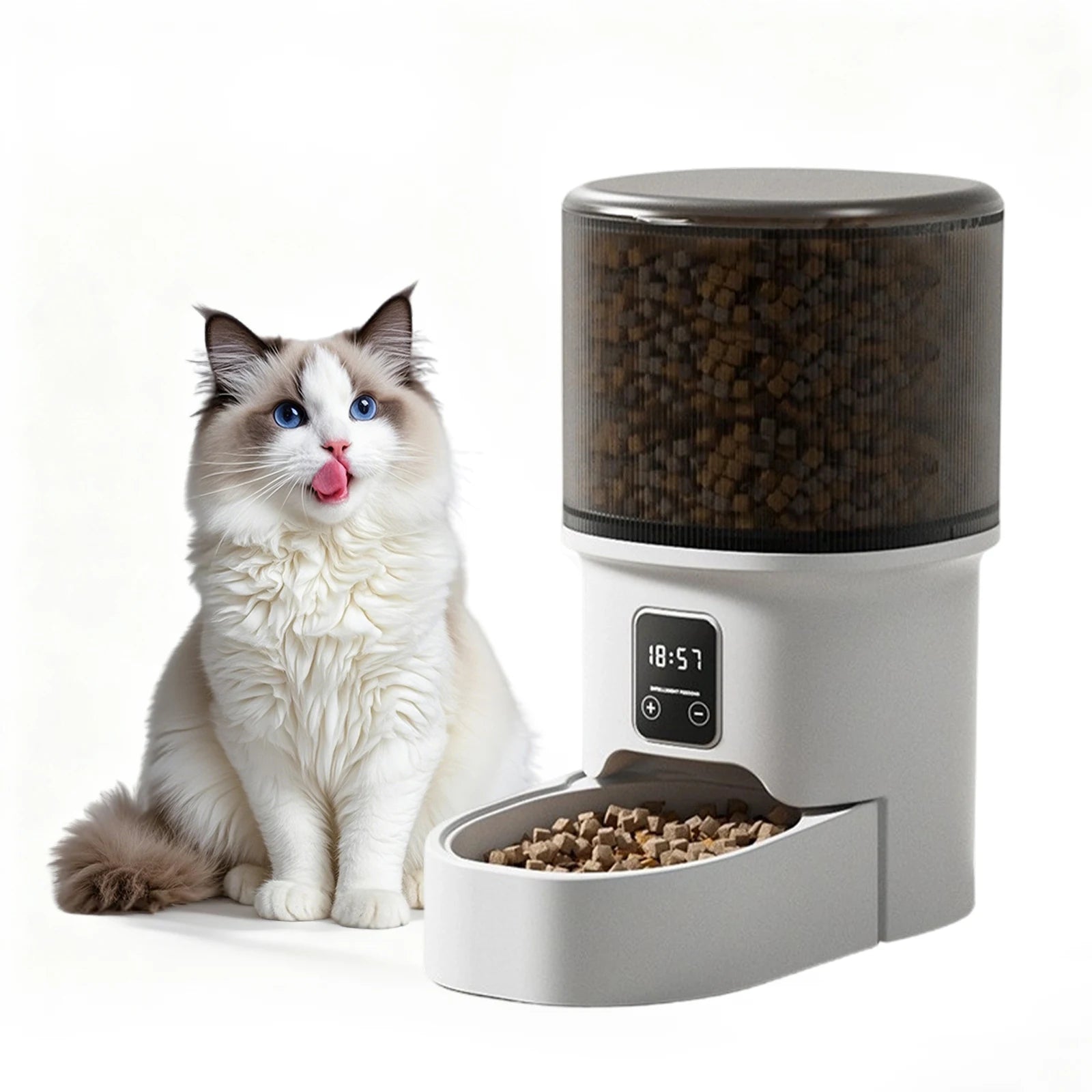 The Timed Pet Feeder