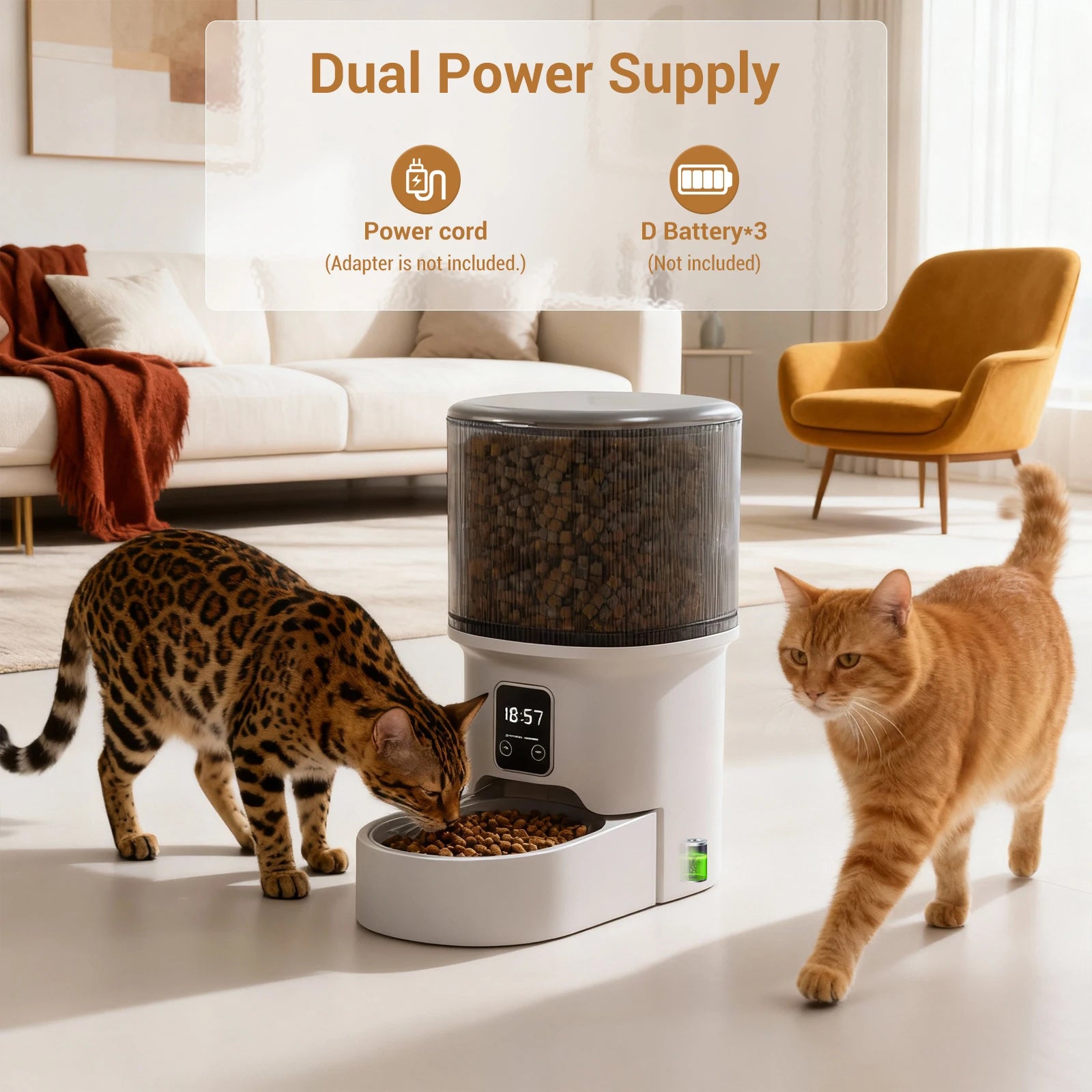 The Timed Pet Feeder