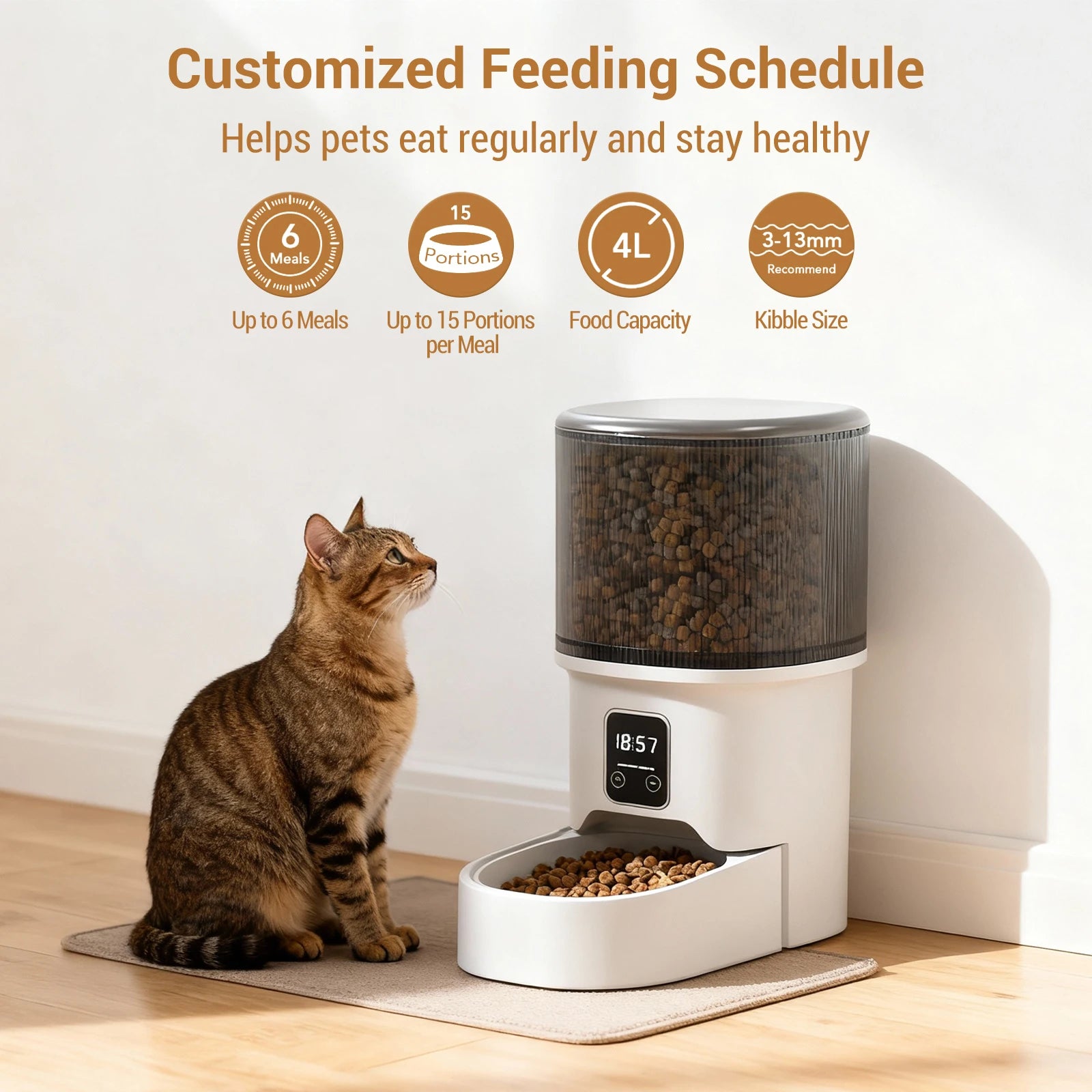 The Timed Pet Feeder