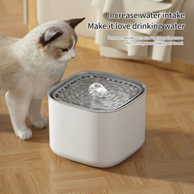 The Cat Water Fountain